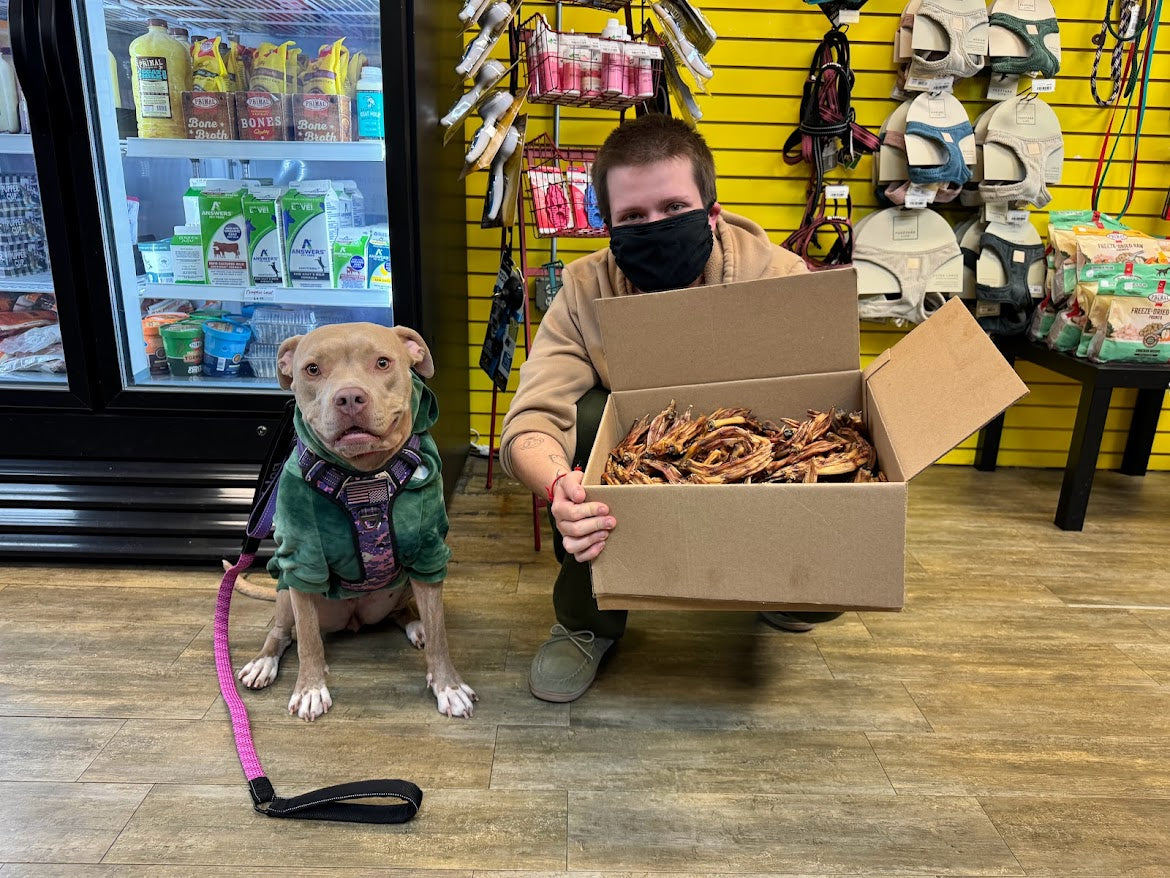 Stefan and Honey shopping at a pet store with a box of premium beef chews
