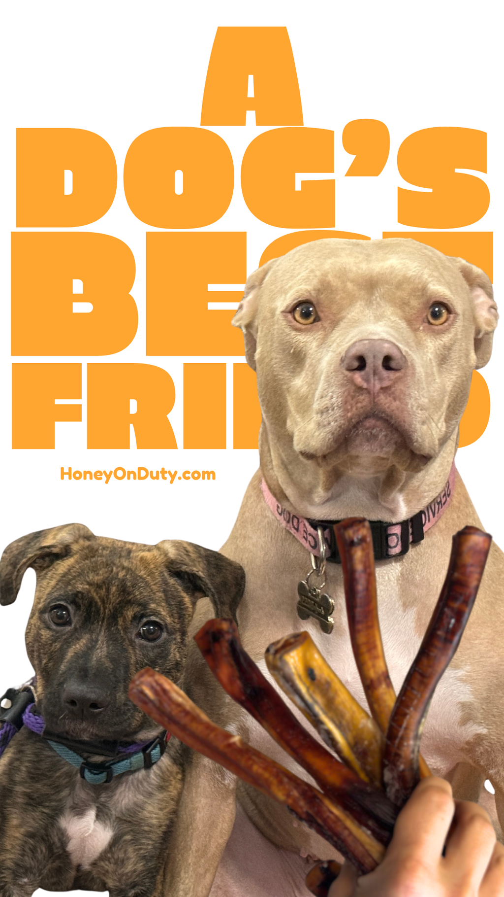 Honey On Duty Provisions brand graphic featuring 8oz Premium Beef Chews for dogs
